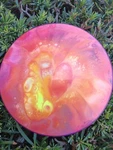 Discraft Esp Passion Paige Pierce Driver 167-169G New Custom Neon Dye. Fixed Price $29.99.