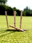 Feather & Forge Golf Slim Single Prong Divot Tool Handmade Customize Your Own!. Fixed Price $35.00.