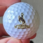 Wyoming Cowboys Ncaa Logo Golf Ball (linkswalker). Fixed Price $7.49.