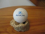 Pacific Life Insurance Logo Golf Ball - Titleist Pro V1 Humpback Whale Breaching. Fixed Price $5.50.