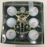 Vintage Linkswalker Golf Ball Divot Set Mark Martin Nascar Official License. Fixed Price $32.99.